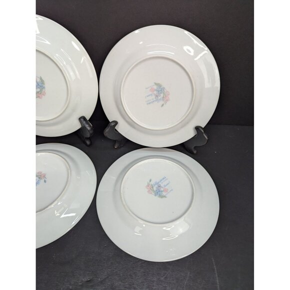 Illusions By Excel Scene 1 Floral Rim 7" Bread Plate Replacement Set of 4 - Picture 7 of 9